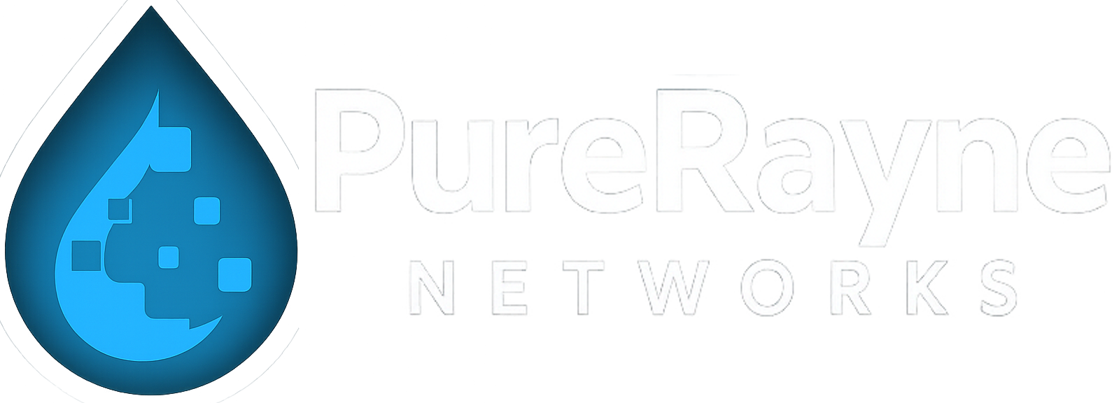 PureRayne Networks